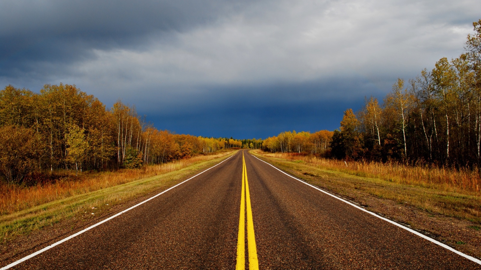 Autumn Road wallpaper 1600x900