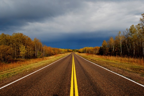 Autumn Road screenshot #1 480x320