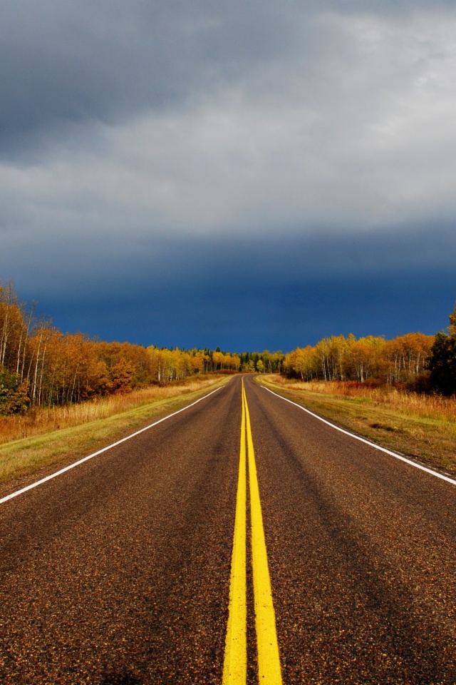 Autumn Road wallpaper 640x960