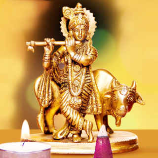 Lord Krishna with Cow sfondi gratuiti per 1024x1024