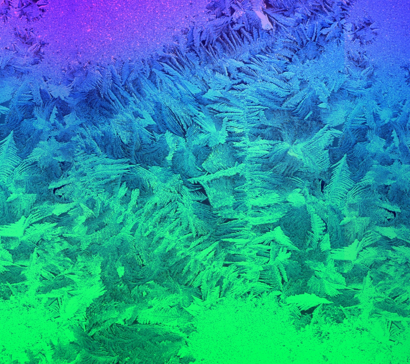 Screenshot №1 pro téma Iced Window 1440x1280