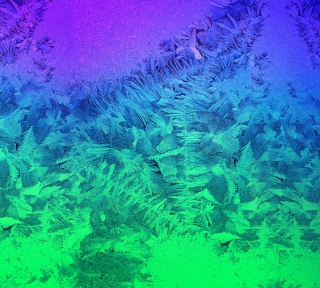 Kostenloses Iced Window Wallpaper für 1024x1024