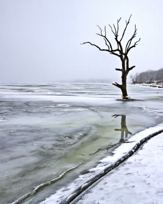 Winter - Obrázkek zdarma pro Nokia Asha 305