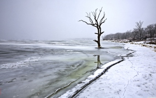 Winter - Obrázkek zdarma pro 480x400