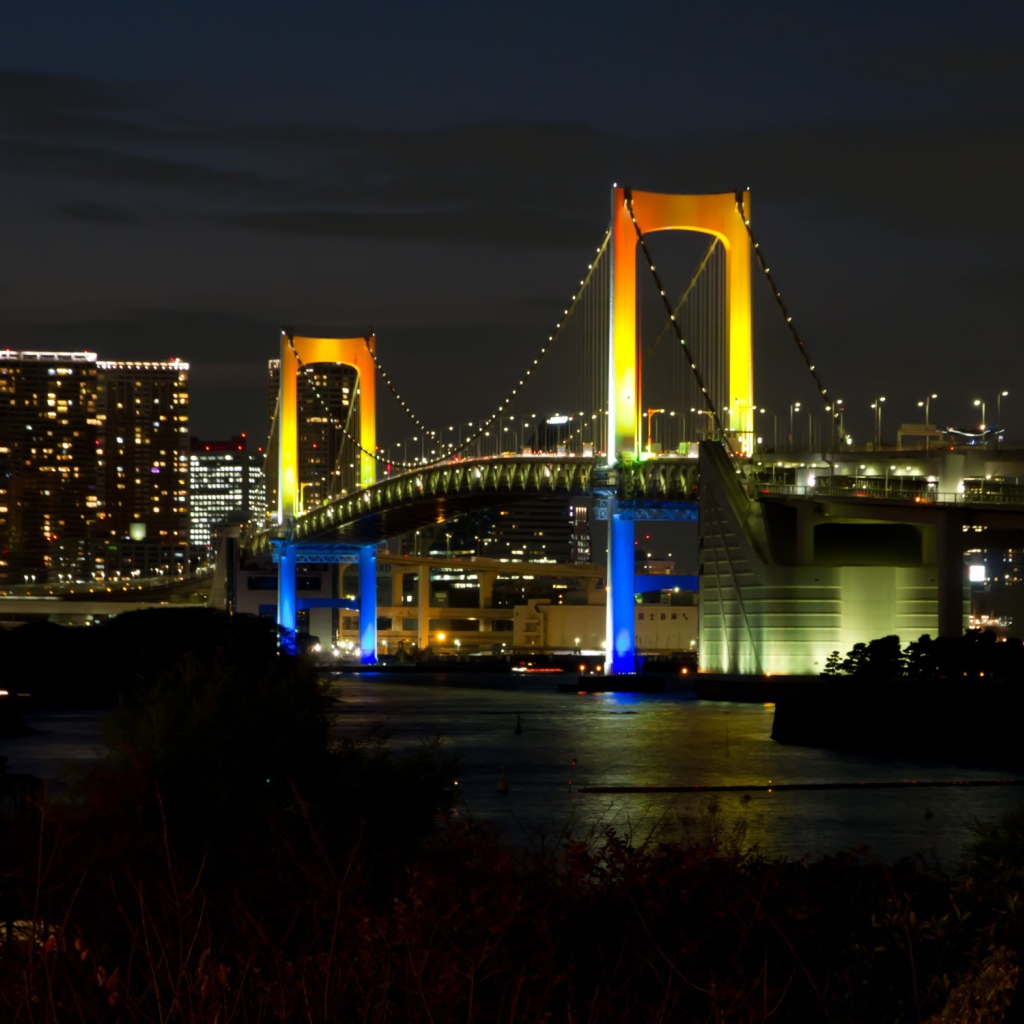Обои Tokyo Rainbow Bridge 1024x1024