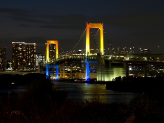 Screenshot №1 pro téma Tokyo Rainbow Bridge 320x240