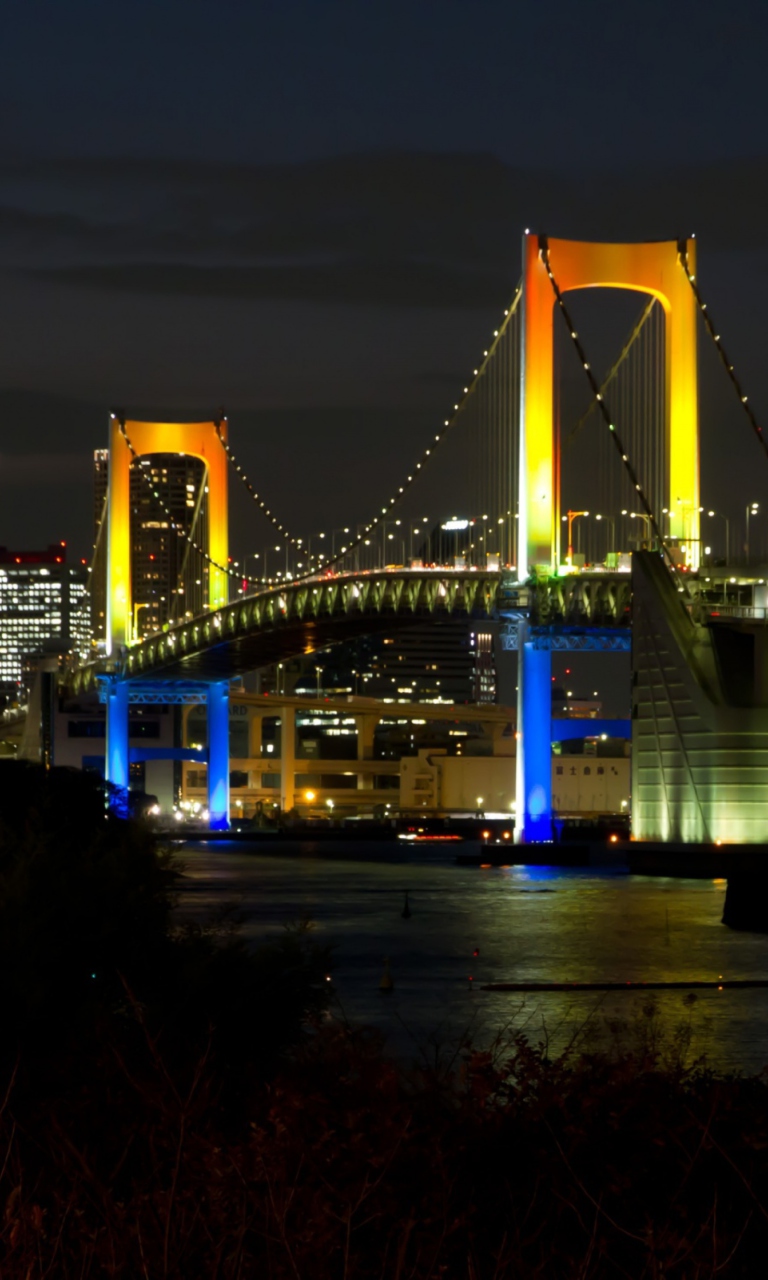 Fondo de pantalla Tokyo Rainbow Bridge 768x1280