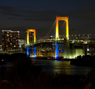 Tokyo Rainbow Bridge - Obrázkek zdarma pro 208x208