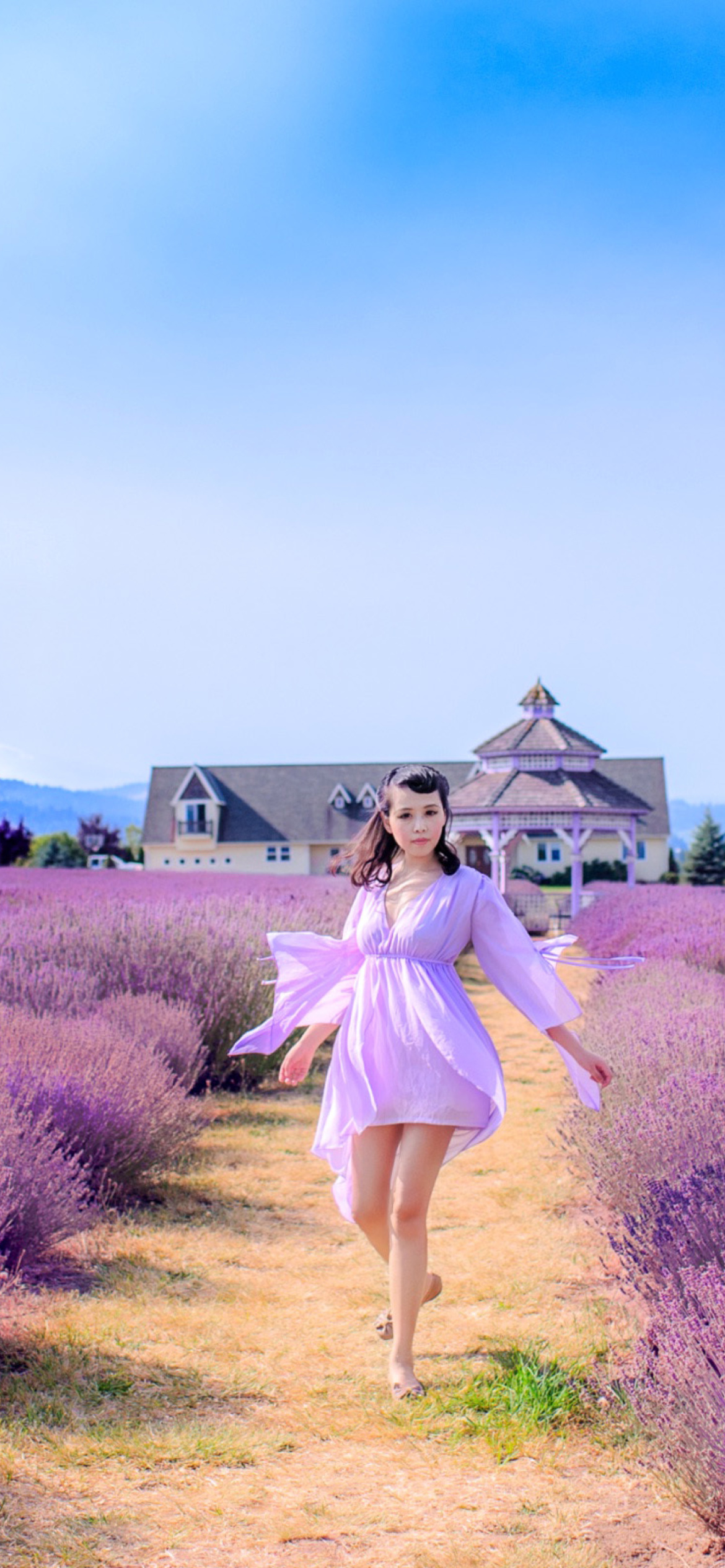 Summertime on Lavender field wallpaper 1170x2532