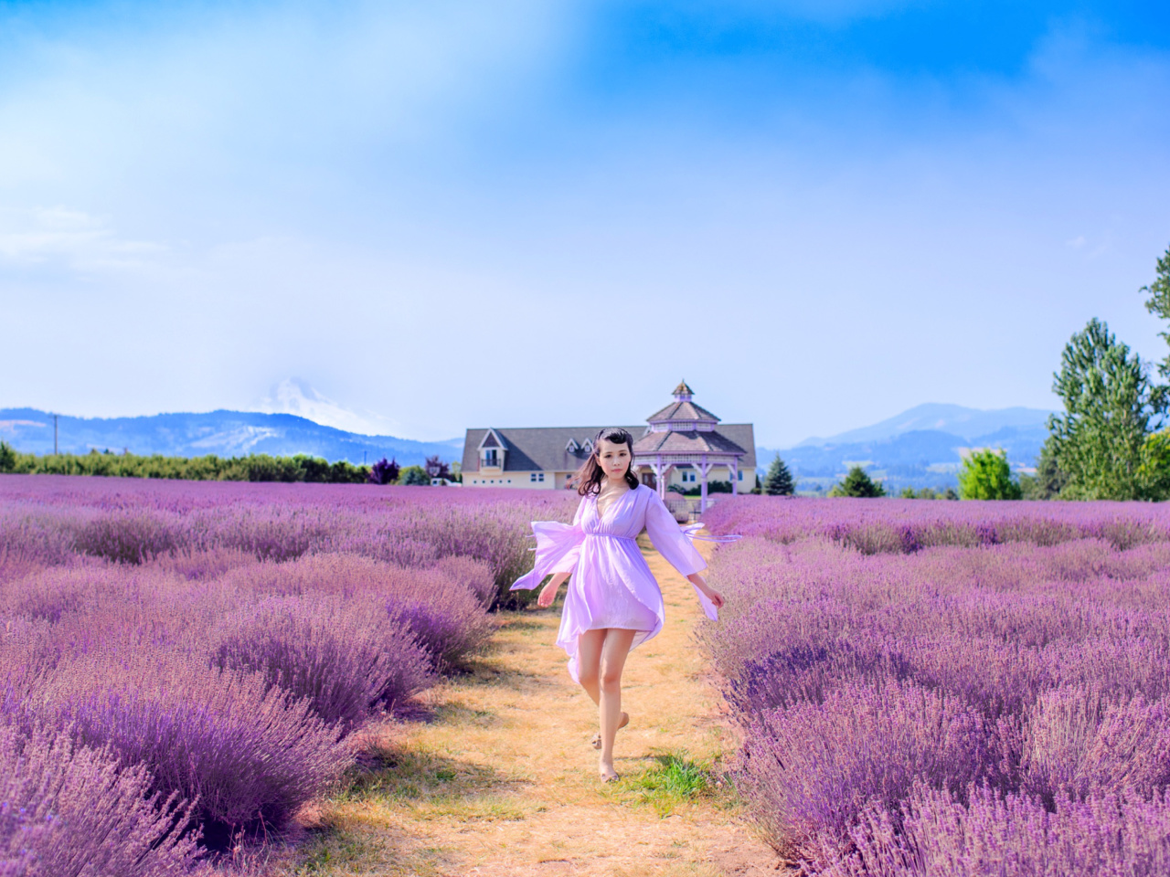 Обои Summertime on Lavender field 1280x960