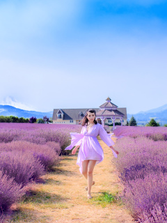 Summertime on Lavender field wallpaper 240x320
