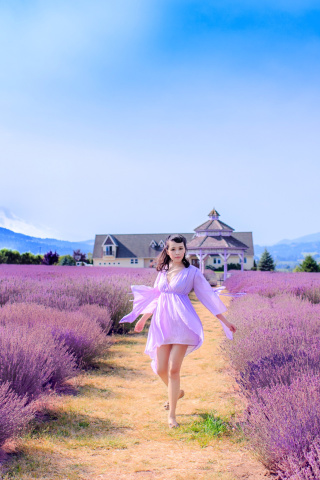 Summertime on Lavender field wallpaper 320x480