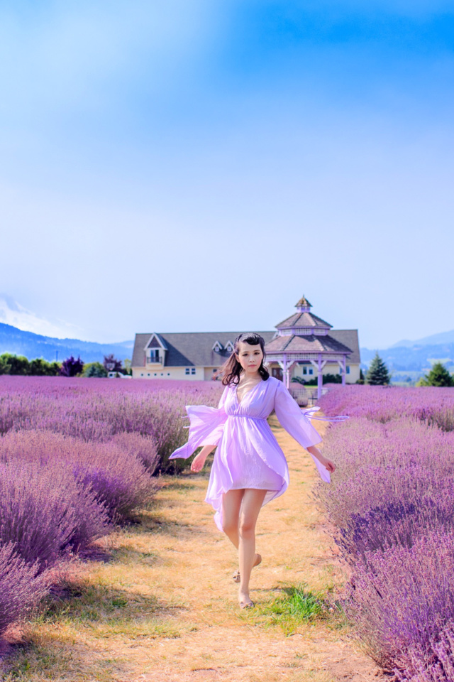 Sfondi Summertime on Lavender field 640x960