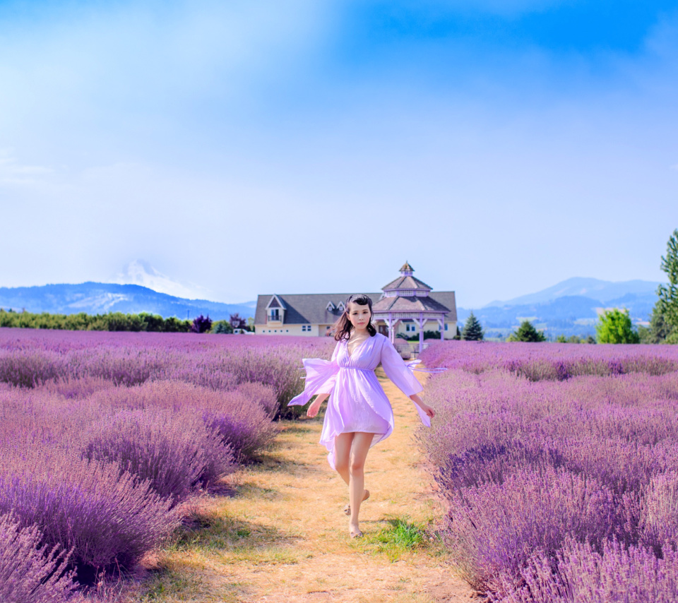 Sfondi Summertime on Lavender field 960x854