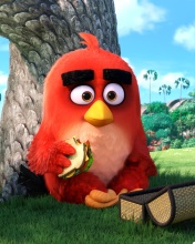 Angry Birds wallpaper 176x220