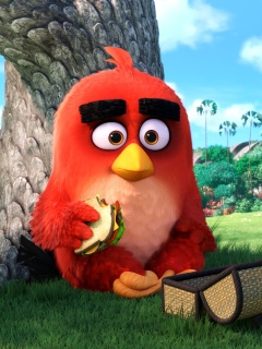 Das Angry Birds Wallpaper 240x320