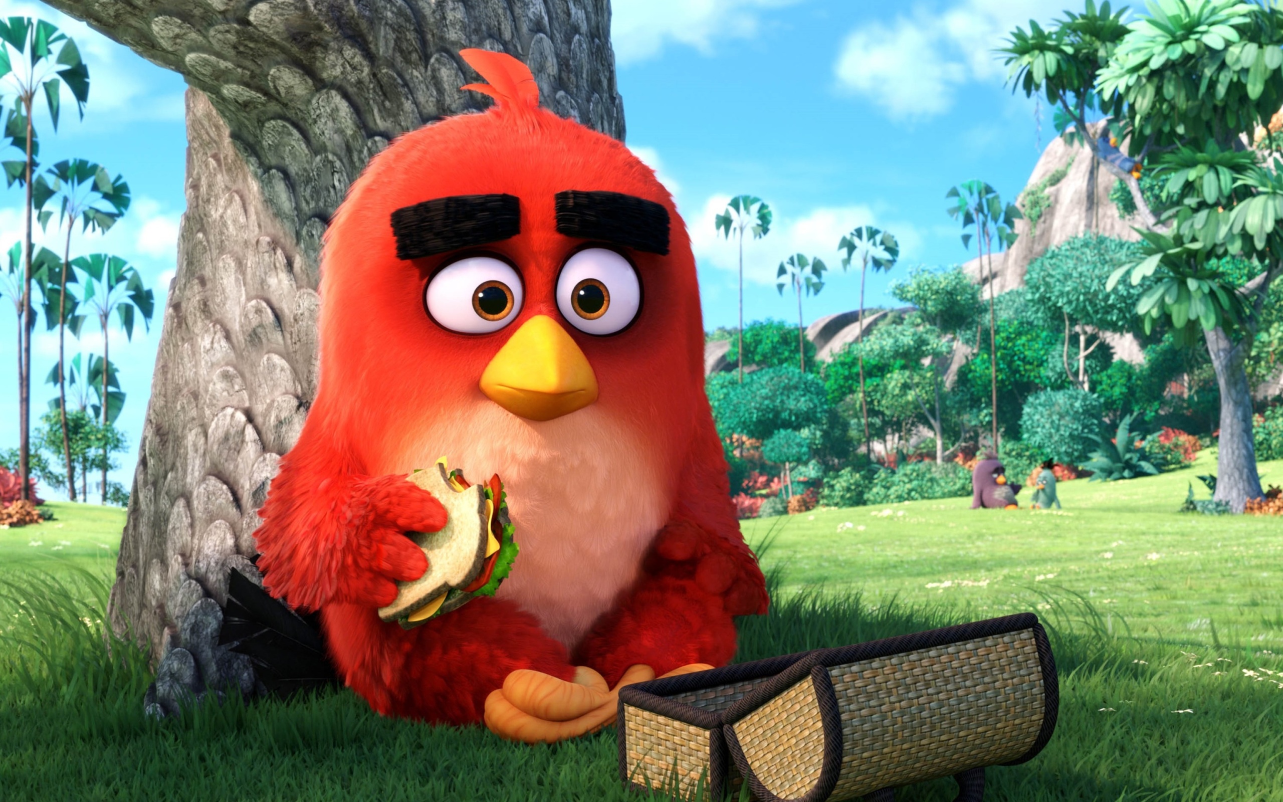 Angry Birds wallpaper 2560x1600