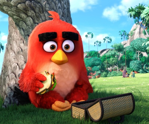 Das Angry Birds Wallpaper 480x400