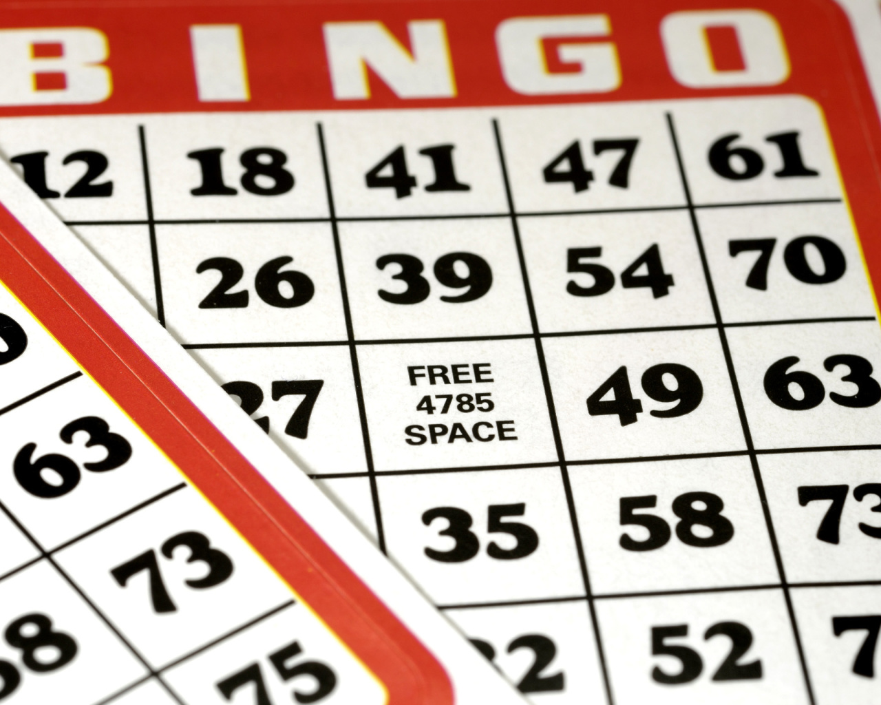 Das Bingo Wallpaper 1280x1024