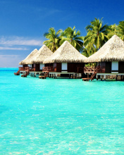 Fondo de pantalla Maldives Islands best Destination for Honeymoon 176x220