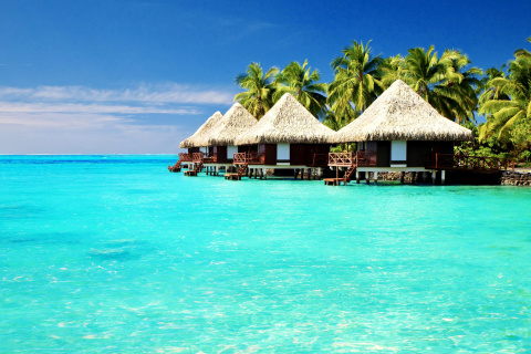 Screenshot №1 pro téma Maldives Islands best Destination for Honeymoon 480x320
