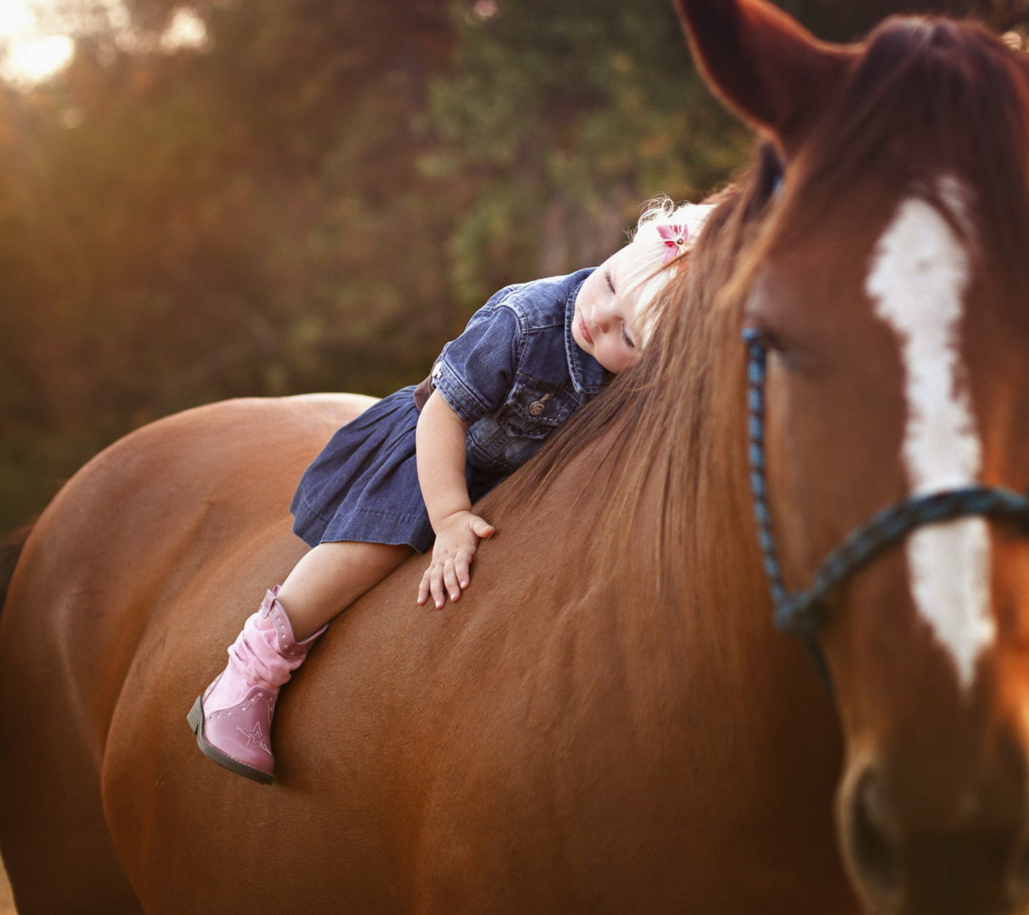 Sfondi Blonde Child On Horse 1440x1280