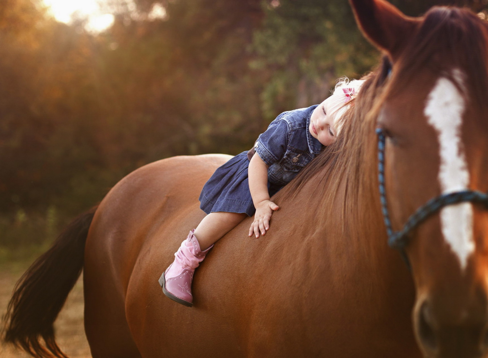 Sfondi Blonde Child On Horse 1920x1408