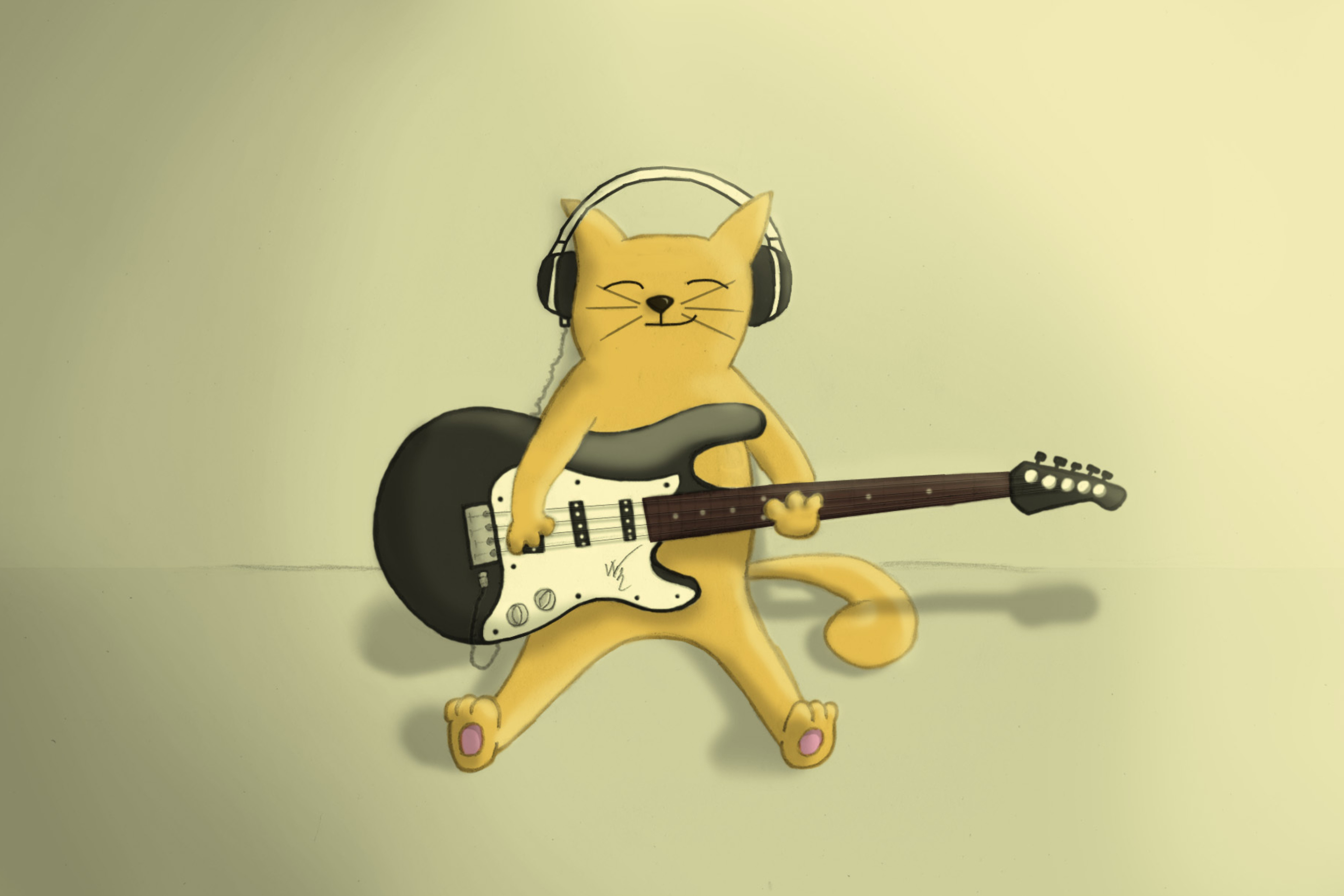 Drawing Of Funny Cat Playing Guitar wallpaper 2880x1920