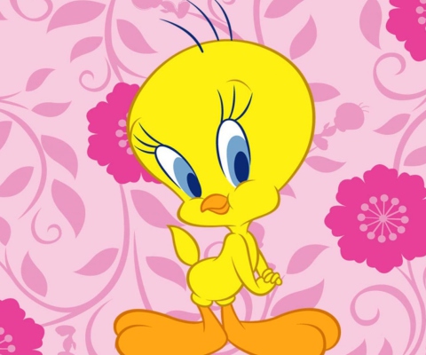 Sfondi Free Tweety 480x400