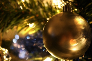 Christmas Tree - Obrázkek zdarma pro 220x176