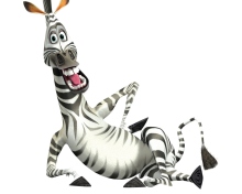 Fondo de pantalla Zebra - Madagascar 4 220x176