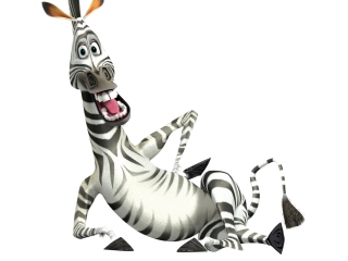 Fondo de pantalla Zebra - Madagascar 4 320x240