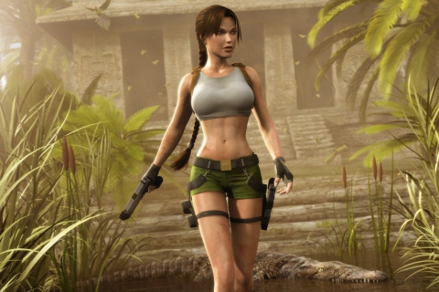 Screenshot №1 pro téma Lara Croft 480x320
