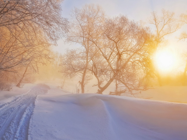 Das Morning in winter forest Wallpaper 640x480