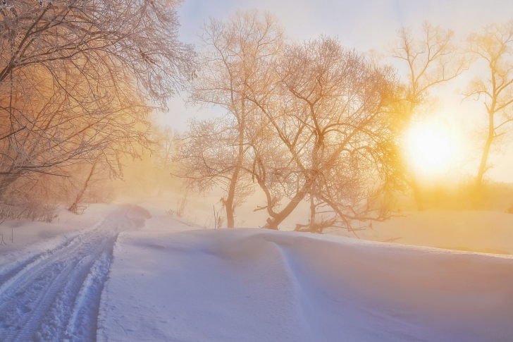Screenshot №1 pro téma Morning in winter forest