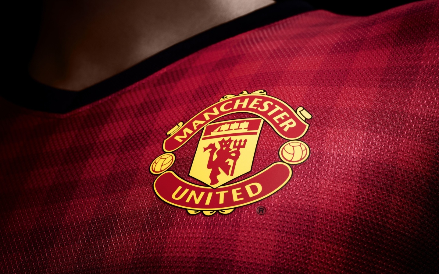 Обои Manchester United Logo 1440x900