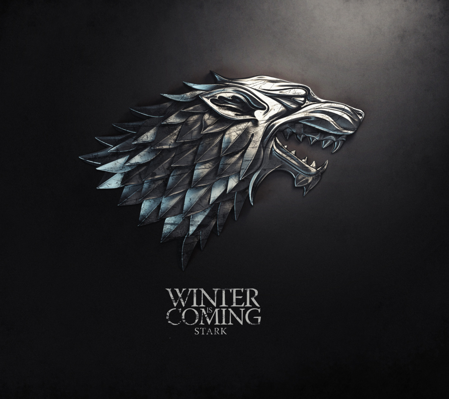 Fondo de pantalla Winter is coming 1440x1280