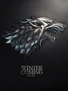 Das Winter is coming Wallpaper 240x320