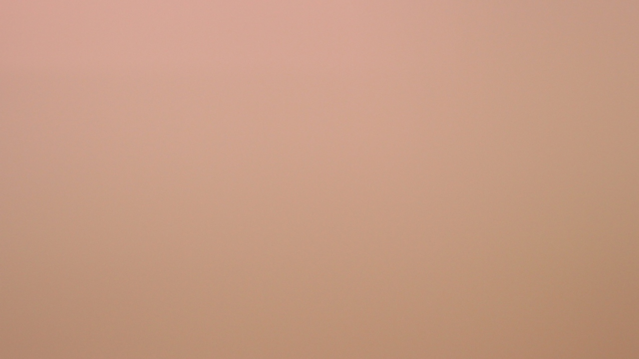 Soft Pink wallpaper 1280x720