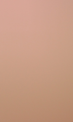 Soft Pink wallpaper 240x400