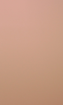 Обои Soft Pink 240x400