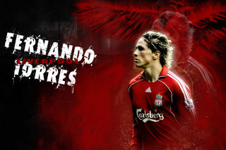 Fernando Torres - Obrázkek zdarma pro 1024x768