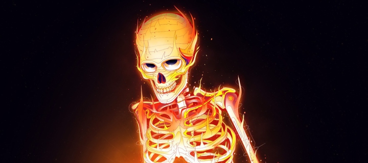 Das Skeleton On Fire Wallpaper 720x320