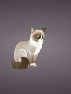 Fondo de pantalla Grumpy Cat 240x320