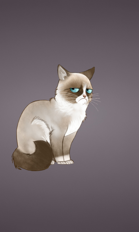 Screenshot №1 pro téma Grumpy Cat 480x800
