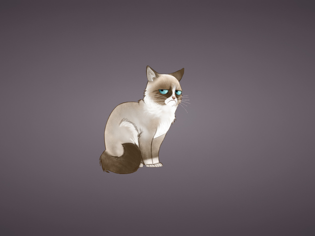 Sfondi Grumpy Cat 640x480