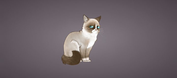 Обои Grumpy Cat 720x320