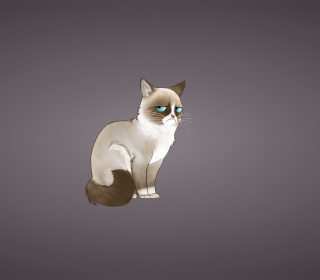 Grumpy Cat - Obrázkek zdarma pro iPad mini 2