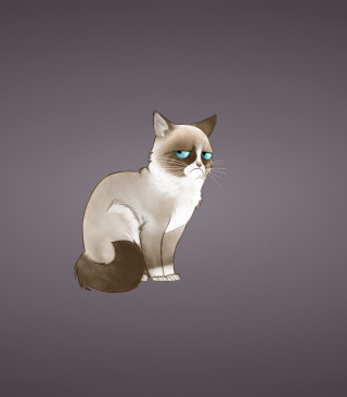Grumpy Cat - Obrázkek zdarma pro Nokia X2-02
