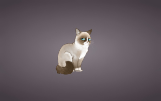 Grumpy Cat - Obrázkek zdarma pro Fullscreen Desktop 1024x768